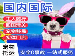 阿拉善右旗巴丹吉林机场快运国际宠物托运 【国